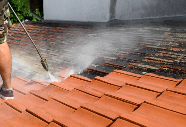 Best Deck Cleaning Services  in Chula Vista, TX