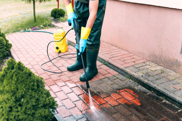 Best Affordable Power Washing  in Chula Vista, TX