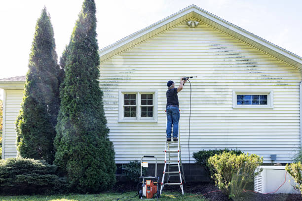 Best House Pressure Washing  in Chula Vista, TX