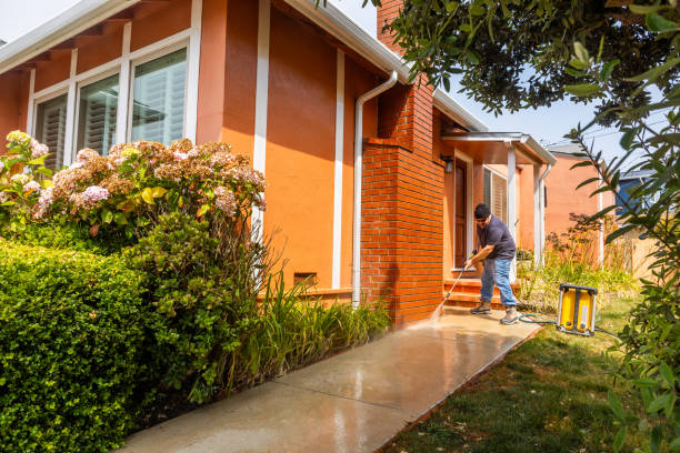 Best House Pressure Washing  in Chula Vista, TX