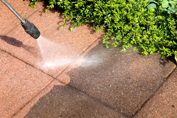Best Roof Pressure Washing  in Chula Vista, TX